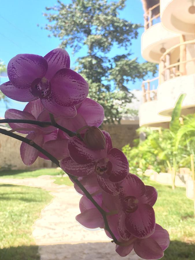 Hotel Boutique Jabin Tulum Exterior photo