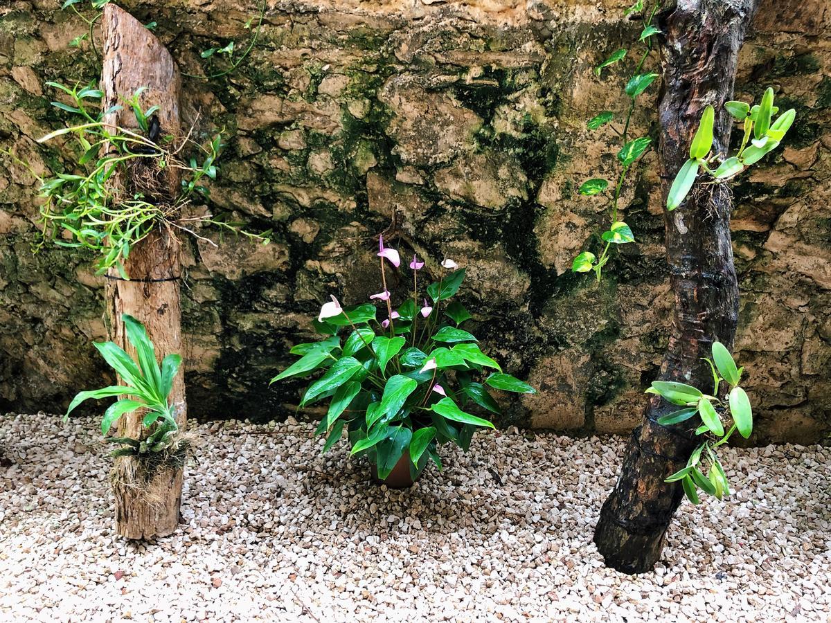 Hotel Boutique Jabin Tulum Exterior photo